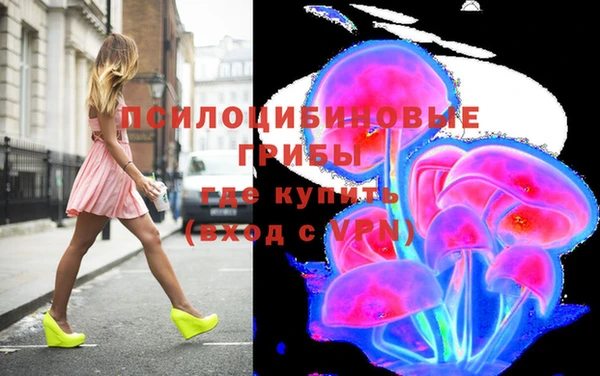 МДПВ Алексин